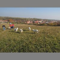 DSCN8726