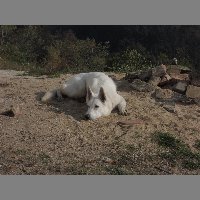 DSCN8728