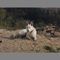 DSCN8729