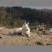 DSCN8731