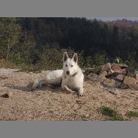 DSCN8732