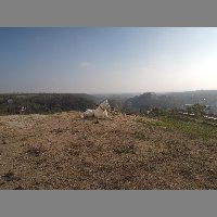 DSCN8738