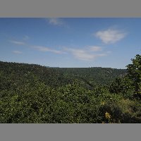 DSCN6819