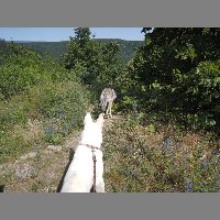 DSCN6824