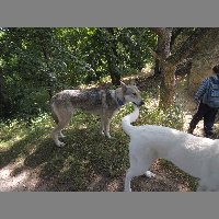 DSCN6828
