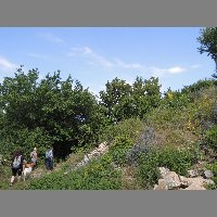 DSCN6835