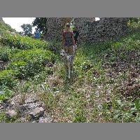 DSCN6837
