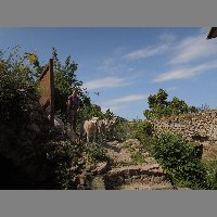 DSCN6843