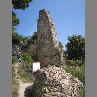 DSCN6861