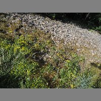 DSCN6880