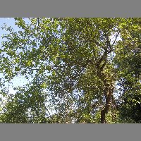 DSCN6881