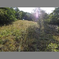 DSCN6882