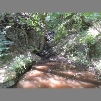 DSCN6894