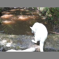DSCN6895