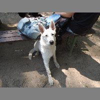 DSCN6904