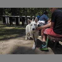 DSCN6905