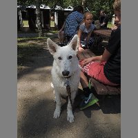 DSCN6906