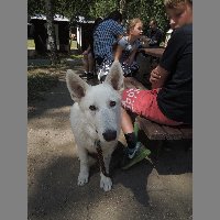 DSCN6907