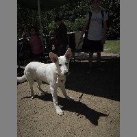 DSCN6908