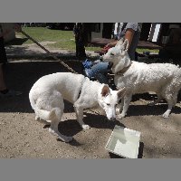 DSCN6909