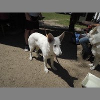 DSCN6910