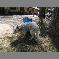 DSCN6911