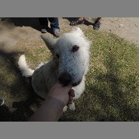 DSCN6912