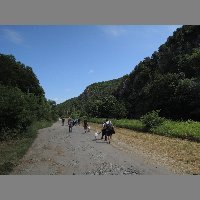 DSCN6917