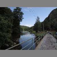 DSCN6919