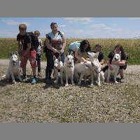 DSCN6945