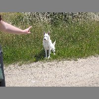 DSCN6946