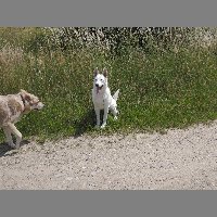 DSCN6947