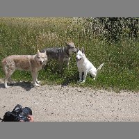 DSCN6949