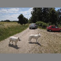 DSCN6961