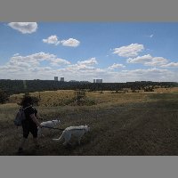 DSCN6962