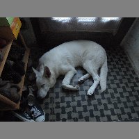 DSCN6975