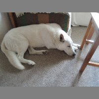 DSCN6976