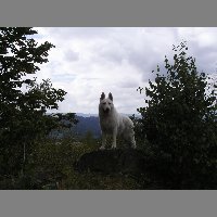 kif_0659