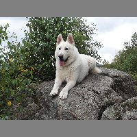 kif_0664