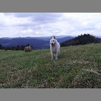 kif_0669