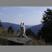 kif_1423