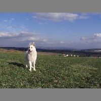 kif_1749