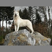 kif_2162
