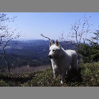 kif_3587