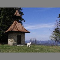 kif_3788