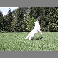 kif_4604