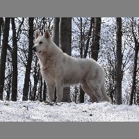 kif_6541