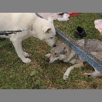 DSCN1317