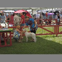 DSCN1318