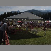 DSCN1324